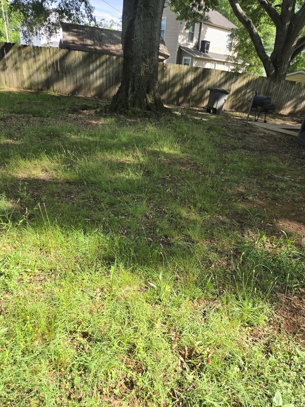 Overgrown backyard with fence and debris before cleanup service