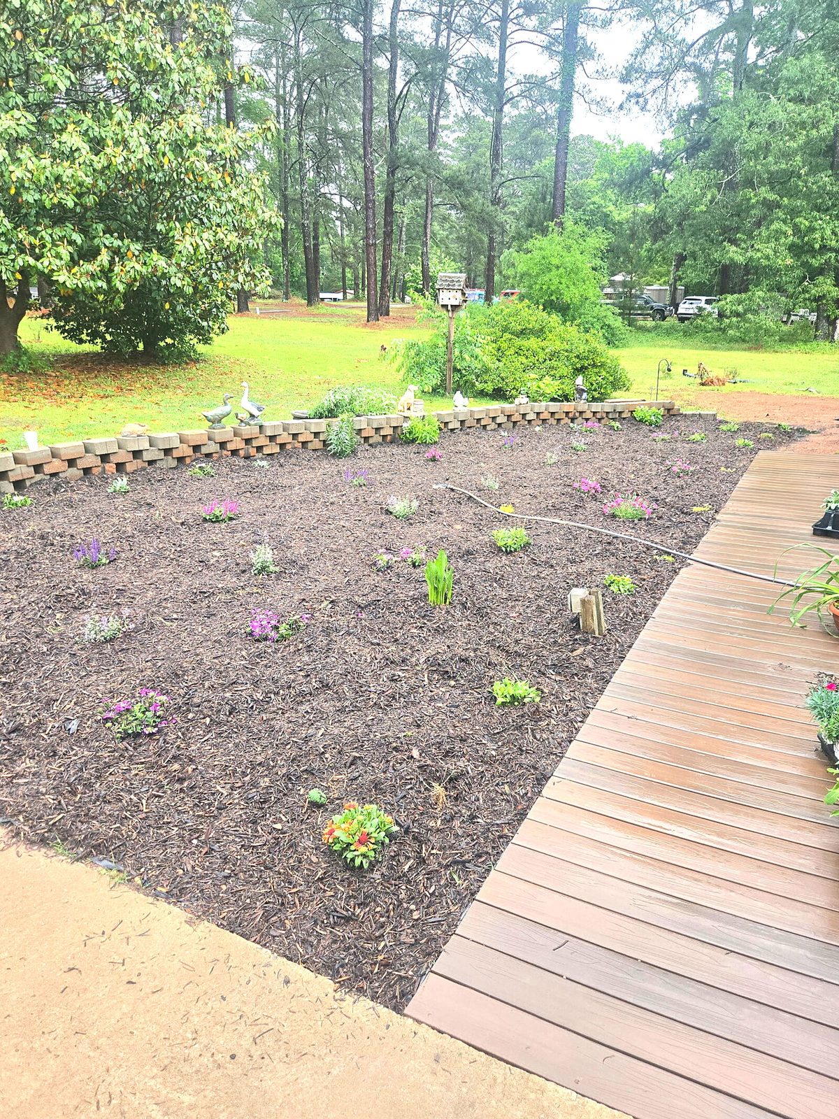 Finished flower bed with fresh mulch and planting