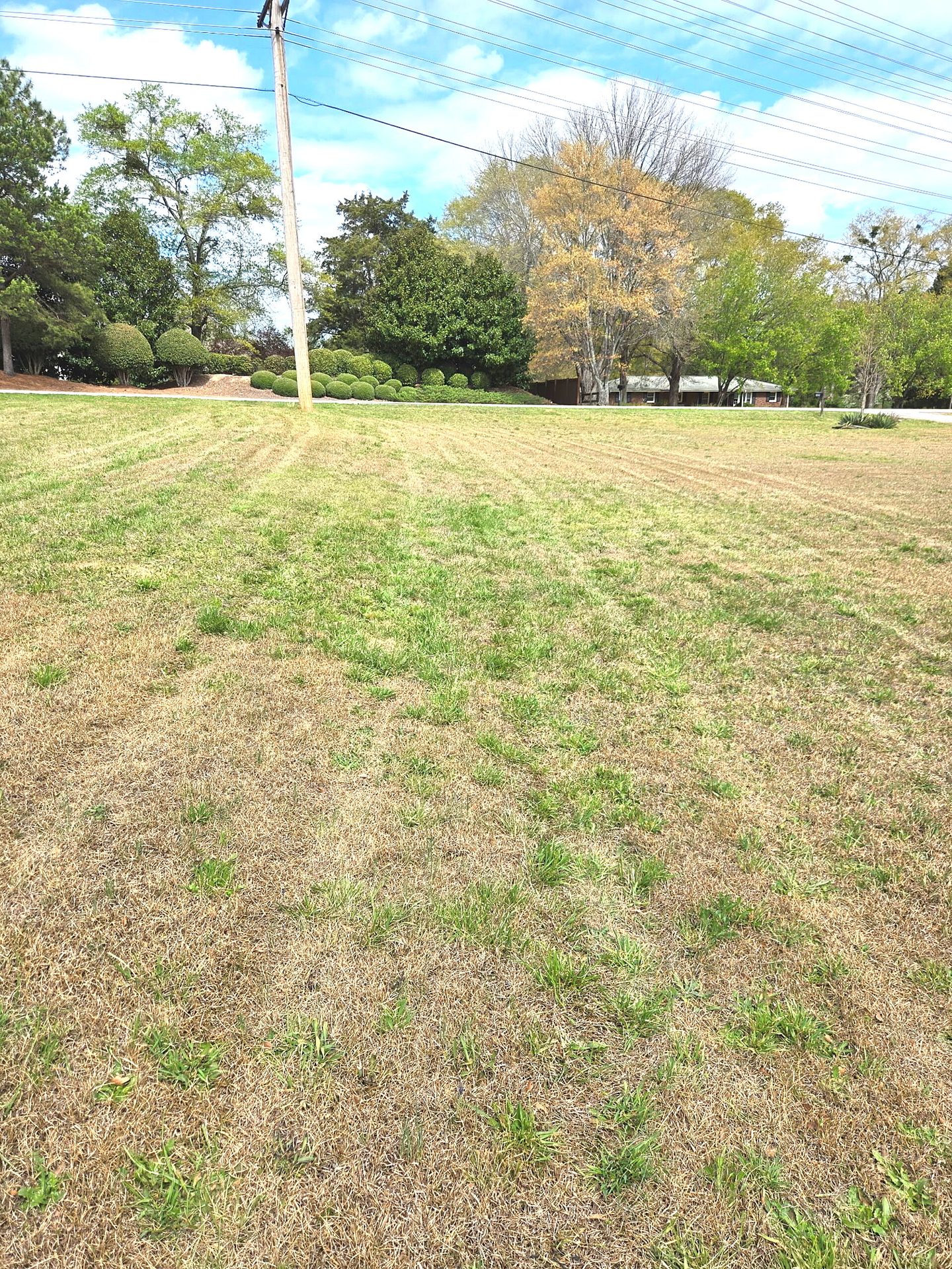 Crisp mow lines across a large Upstate lot