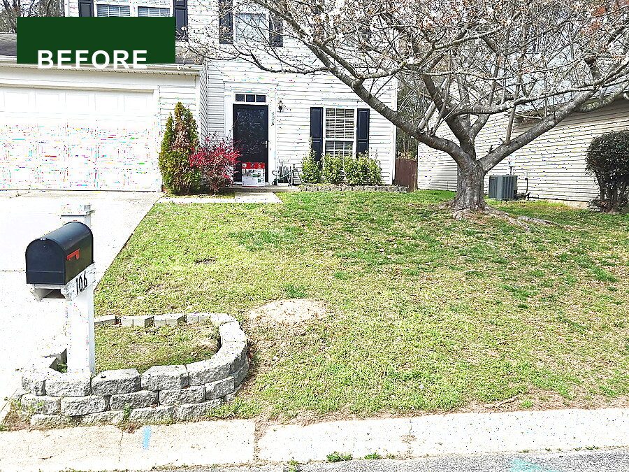 Overgrown front yard before lawn care