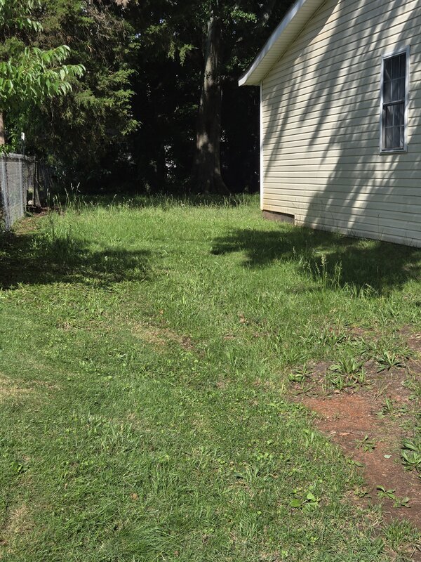 Overgrown side yard before LawnSkapers mowing service